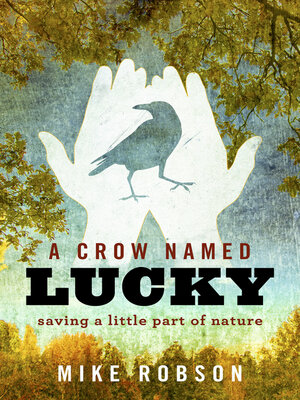 cover image of A Crow Named Lucky